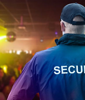 Corporate Security Image
