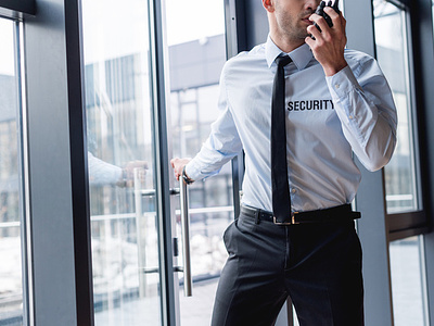Corporate Security Image